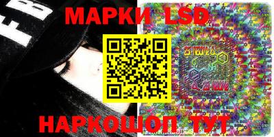 индика Рузаевка