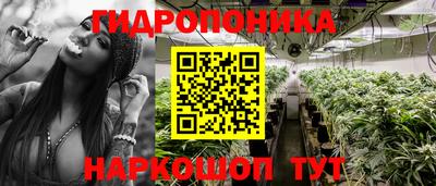 дмт Рыбинск