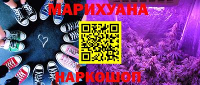 индика Рузаевка