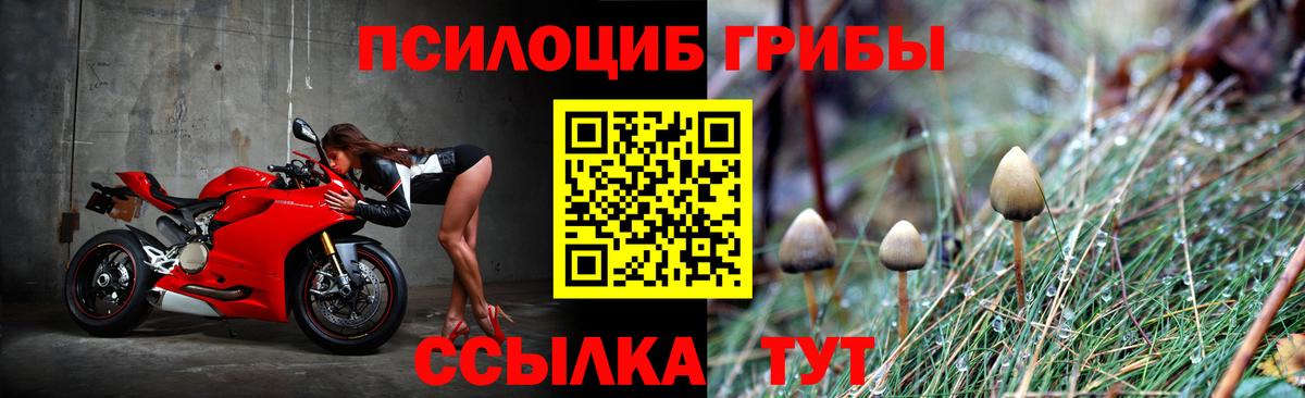 Псилоцибиновые грибы мухоморы  Вход с VPN  хочу   Псилоцибиновые грибы MAGIC MUSHROOMS  Пугачёв 