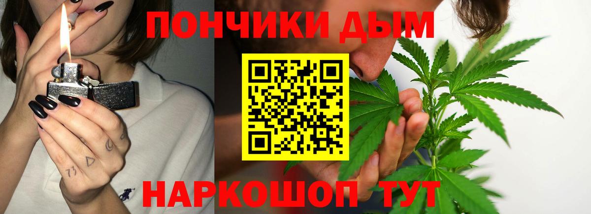 Пугачёв  Каннабис OG Kush  Каннабис ГИДРОПОН  Каннабис план  Вход с VPN  Конопля индика 